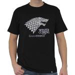 ABYstyle - GAME OF THRONES - Camiseta - Winter is coming - Hombre - Negro (S)