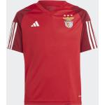 adidas - Camiseta de niños 1ª Equipacion Pre Partido SL Benfica 2023-2024 adidas.