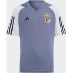 adidas - Camiseta de niños 2ª Equipacion Pre Partido SL Benfica 2023-2024 adidas.