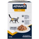 Medicados para gatos Affinity Advance Veterinary 