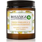 Air Wick Botanica Fresh Pineapple & Tunisian Rosemary vela perfumada 205 g
