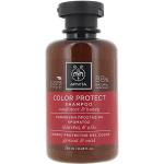 Champús rojos protectores del color con aceite de girasol de 250 ml para  cabello dañado para pelo rubio 