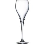 Copas transparentes de vidrio de champagne rebajadas de 160 ml aptas para lavavajillas Arcoroc en pack de 6 piezas 