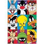 Accesorios decorativos multicolor Looney Tunes Artopweb 