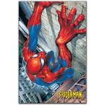 Accesorios decorativos multicolor Spiderman Artopweb 