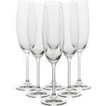 Copas de vidrio de champagne BOHEMIA CRISTAL en pack de 6 piezas 