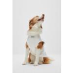 Camisetas blancas de algodón para perros con logo HUGO BOSS BOSS 
