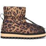 Botas marrones de goma de leopardo  leopardo Dolce & Gabbana talla 40 para hombre 
