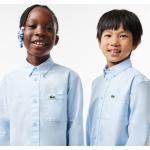 Camisas azules celeste de algodón con bolsillo infantiles Lacoste 12 años 