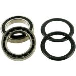 Campagnolo Power Torque Veloce Bearings Negro