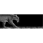 Cuadros blancos de pino de animales modernos leopardo 
