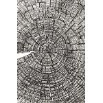 Carpeta en relieve Sizzix 3-D Texture Fades Aros de árbol por Tim Holtz | 666049 | Capítulo 4 2022