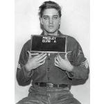 Close Up Póster Elvis Presley - Mugshot (61cm x 91,5cm)