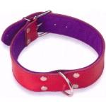 Collar Cuero Superfelt Color - Granate / Púrpura XL
