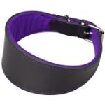 Collar Galgo Cuero Superfelt - M Negro / Púrpura