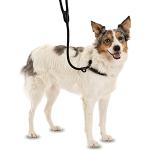 COMPANY OF ANIMALS 3-en-1 Correa Deslizante - Collar, correa y collar ronzal. Fácil de usar, suave, duradero y resistente a la intemperie. Ideal para el entrenamiento de perros. (Talla L, Marrón)