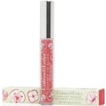 Crabtree & Evelyn Albaricoque Naranja Shimmer Lip Gloss 3.2g