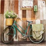 Cuadro de bicicleta en lienzo verde 80x80 cm