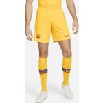 Cuarta equipación Match FC Barcelona 2023/24 Pantalón corto de fútbol Nike Dri-FIT ADV - Hombre - Amarillo