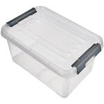 Curver Caja de almacenamiento Handy Plus con tapa de 6 litros en color transparente y plateado, 24 x 16 x 14 cm