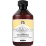 Davines - Champú Anticaspa NaturalTech Purifying 250 ml