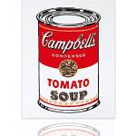 Declea Cuadro sobre lienzo de pago Andy Warhol Cam
