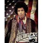Desperate Enterprises Jimi Hendrix Music High Cartel de Chapa Plana Nuevo 30 x 40 cm s4660