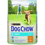 Dog Chow Puppy Pollo - Pack 2 x Saco de 14 Kg
