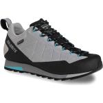 Dolomite Crodarossa Low Goretex 2.0 Hiking Shoes Gris EU 42 Mujer