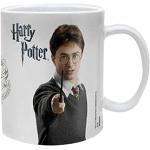 Pósters multicolor de cerámica Harry Potter Harry James Potter 