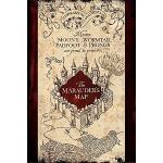 empireposter 743527 Harry Potter – The Marauders Map – Película Fantasy Familia Cine Impresión, Papel, Multicolor, 91,5 x 61 x 0,14 cm