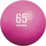 Balones rosas de fitness rebajados Ziva 