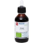 Fitomedical Ginkgo Tintura Madre Orgánica 100ml