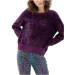 Fracomina, Suéter de cuello redondo Purple, Mujer, Talla: L