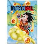 Pósters de series rebajados Dragon Ball Goku 