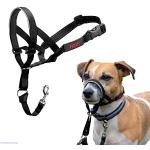 Collar Ronzal HALTI - Para evitar que tu perro tire de la correa, Ajustable y Ligero, con banda de nariz acolchada. Adiestramiento canino antitirones collar para perros pequeños (Talla 1, Negro)