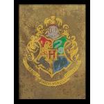 Accesorios decorativos multicolor Harry Potter Harry James Potter 