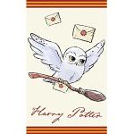 Harry Potter Hedwig HP213003-R - Toalla infantil (30 x 50 cm)