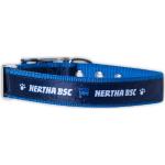 Hertha BSC Collar de perro (30-45)