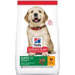 Hills Science Plan Puppy Large Breed alimento seco perro sabor pollo - pack 2 x saco de 14,5 kg