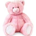 Histoire d 'ours peluche Collection media