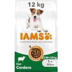 IAMS for Vitality Alimento seco para perros adultos (1-7 años) de raza pequeña y mediana con cordero, 12 kg