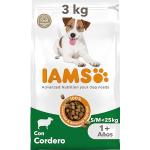 IAMS for Vitality Alimento seco para perros adultos (1-7 años) de raza pequeña y mediana con cordero, 3 kg