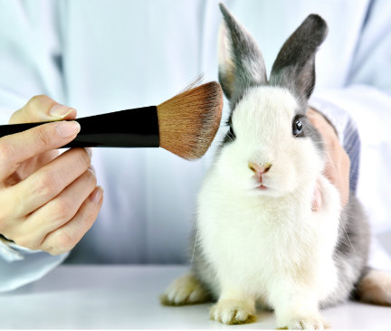 Conejo siendo acariciado por una brocha de maquillaje.