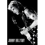 Johnny Hallyday Lone Wolf Póster, Papel, Multicolor, 91,5 x 61 x 0,03 cm