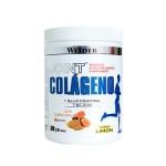 Joint Collagen - 300 gr (colageno) Lemon Weider