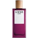 Perfumes naranja rebajados de 50 ml Loewe para mujer 