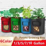 Macetero para cultivo de patatas, bolsa contenedor para plantar verduras, jardinería, espesar, bolsa para cultivo de plantas en macetas de jardín