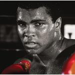 Muhammad Ali Guantes de Boxeo Lienzo Impresiones, poliéster, Multicolor, 40 x 40 cm