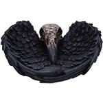 Nemesis Now Edgar Allen Poe's Nevermore Raven - Plato para joyas (17 cm), color negro